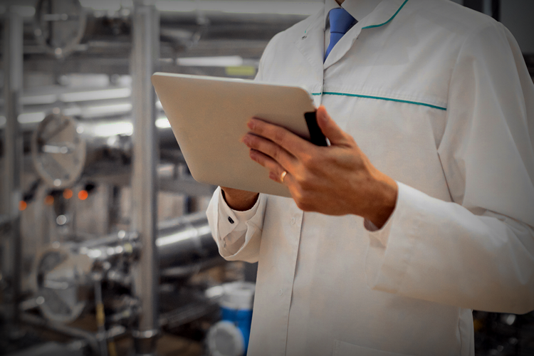 Inspection & Audit Services